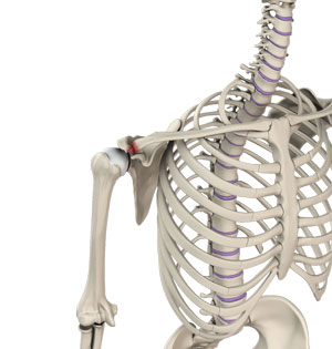 Acromioclavicular (AC) Joint Injuries